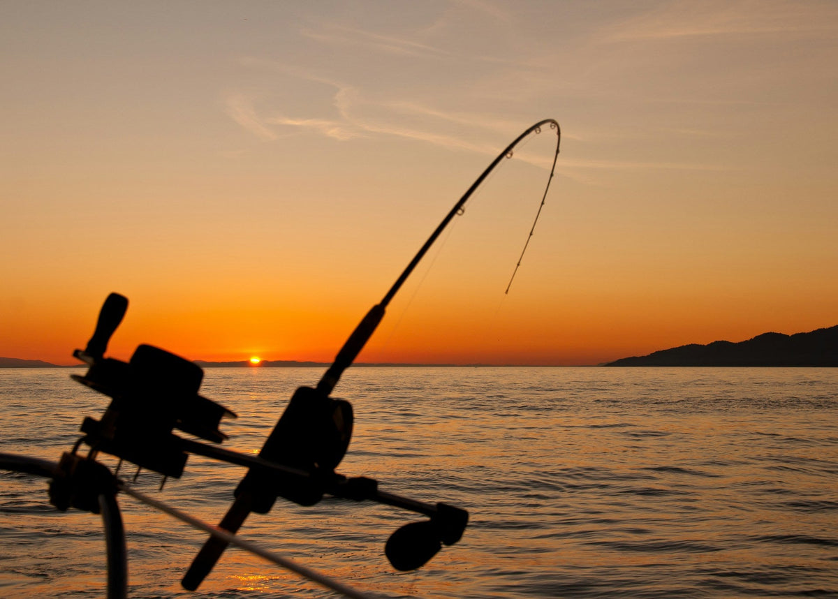 Fishing & Hunting Gear